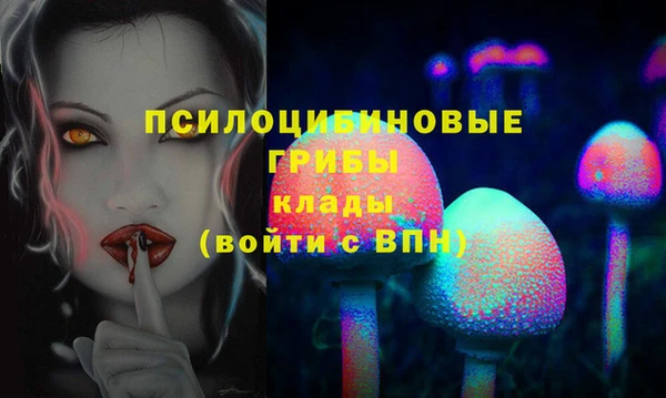 круглые Алексеевка