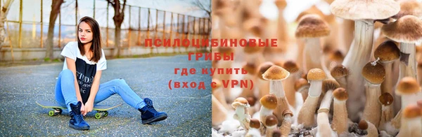 круглые Алексеевка