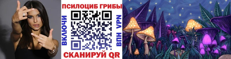 Галлюциногенные грибы прущие грибы  Егорьевск 