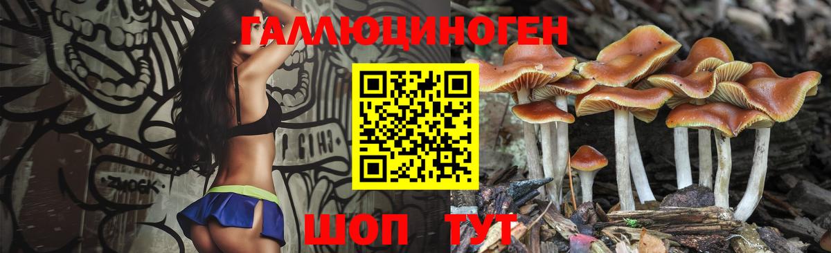 Егорьевск  Галлюциногенные грибы MAGIC MUSHROOMS  Вход с VPN 