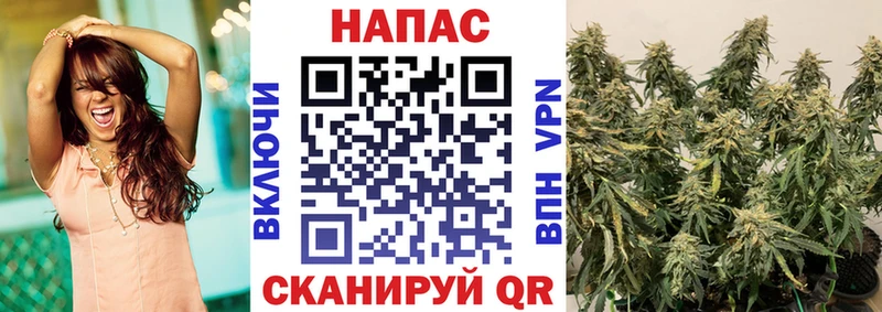 Каннабис тримм Егорьевск