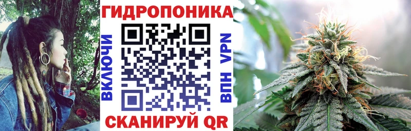 где можно купить   Егорьевск  Каннабис семена 
