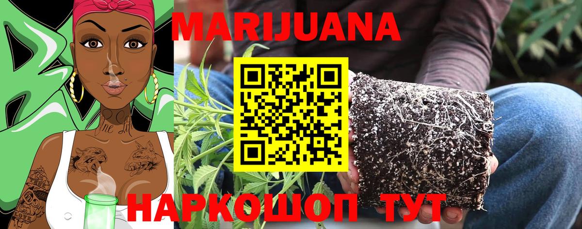 МАРИХУАНА гибрид Егорьевск